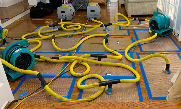 Professional Crawl Space Water Removal technician working in McClelland, IA